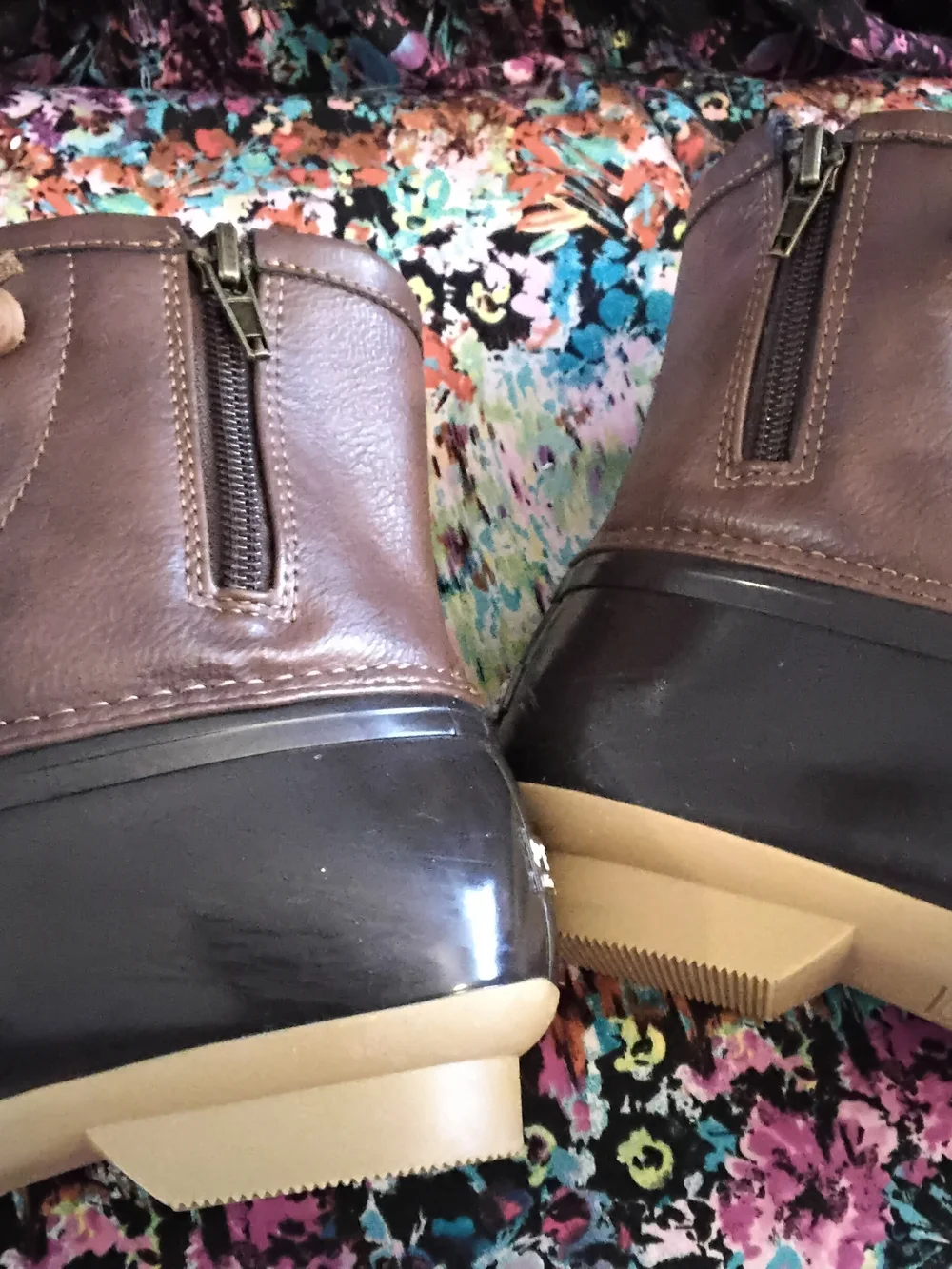 Sperry brown lace